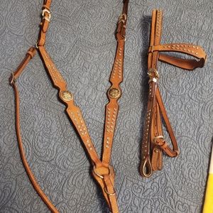 Headstall and Breast Collar set